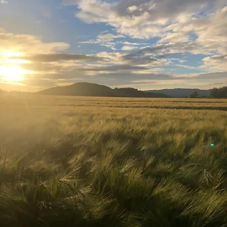 Apartament Tillmanns Beverungen