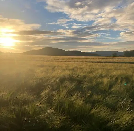 Daire Tillmanns Beverungen