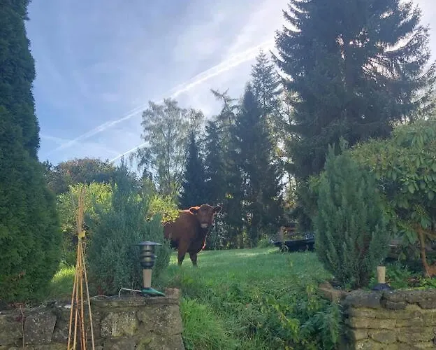 Tillmanns Lejlighed *